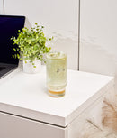 Zestaw 2 szklanek Ice Latte Essential, szkło, 450 ml